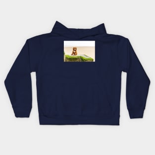 Red Cockapoo Puppy On The Beach Kids Hoodie